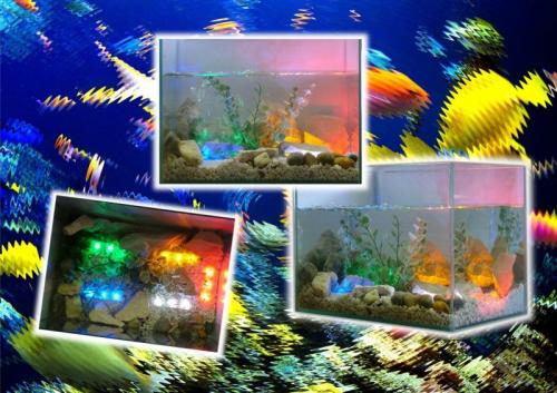 Akv�rium vil�g�t�s