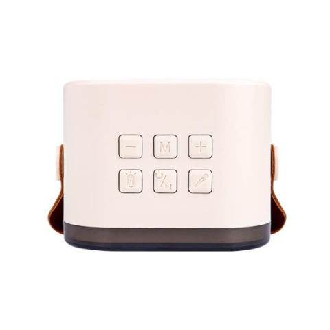 MasterLED Hordozható karaoke szett Bluetooth hangszóróval és 2 mikrofonnal